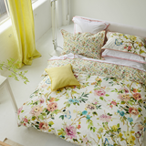 Designers Guild - Fiore d'aqua peony