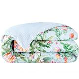 Anne de Solène - Conte