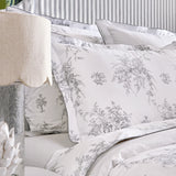 Anne de Solène - Evanescence