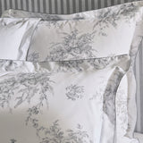 Anne de Solène - Evanescence